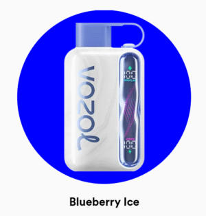 Vozol Star 40000 Blueberry ıce